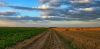 НЕДИМОВИЋ: Измена Закона о пољопривредном земљишту како би ограничили продају странцима
