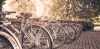 БИЦИКЛИСТИЧКА ИНИЦИЈАТИВА: У Новом Саду годишње 9 одсто више бициклиста